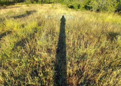 Terapia en la Naturaleza